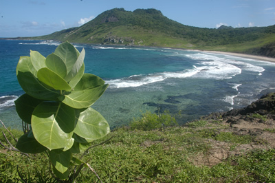 Praia da Caeira