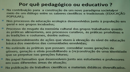 pedagogico