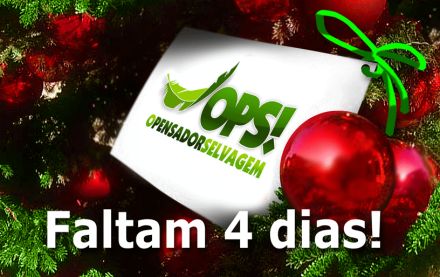 Faltam 4 dias!